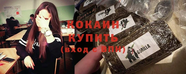 гидропоника Медногорск