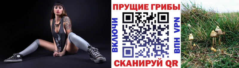 Галлюциногенные грибы Psilocybine cubensis  Купить закладки  Нягань 